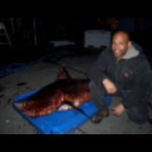 Meet your Posher, Carl